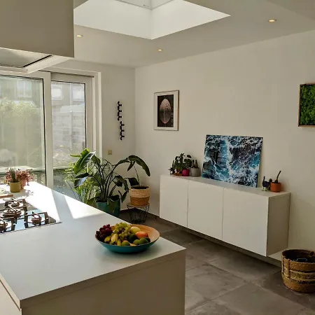 House 45